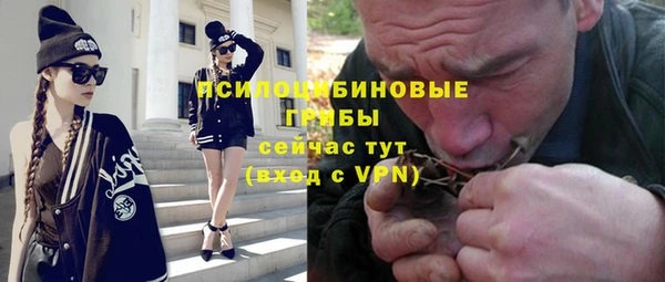 сатива Балабаново